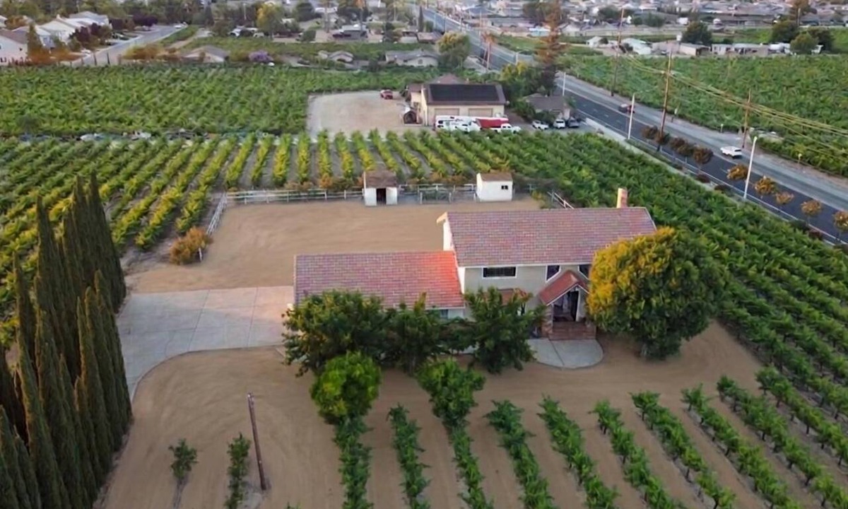 Oakley House | Vintage Vineyard Estate
