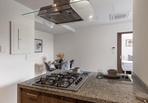 Modern 1-Bedroom Apartment in Santa Fe neighborhood