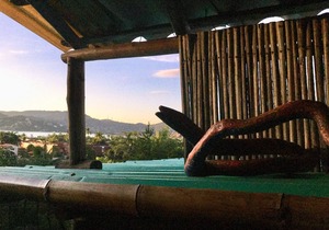 playa la Ropa Waiting for you