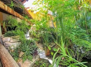 Hotel Ciudad Palenque | Palenque