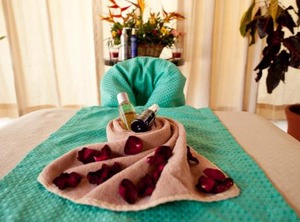 Plaza Palenque Hotel Convention | Palenque