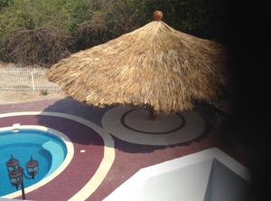 Loft The Pacific | Petacalco