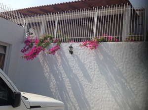 Loft The Pacific | Petacalco