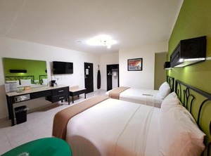 Hotel Maya Tulipanes | Palenque