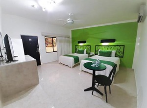 Hotel Maya Tulipanes | Palenque