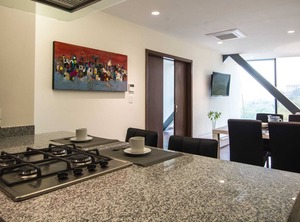 Santa Neighborhood | Lomas de Santa Fe