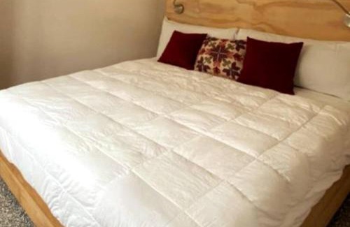 Historic Center Apartment | 118 SUITES DONCELES CENTRO HISTÓRICO CDMX