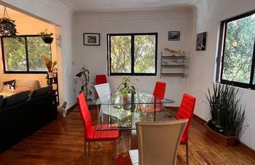 Roma Norte Bed & Breakfast | 14 m² Bed and breakfast ∙ 1 guest