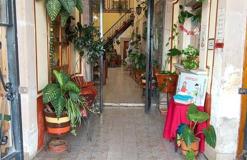 Jerez de Garcia Salinas Hotel | 14 m² Hotel ∙ 4 guests