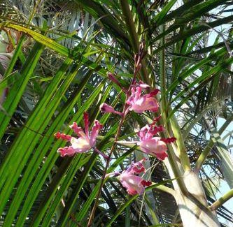 Tlacotalpan Bed & Breakfast | 18 m² Bed and breakfast ∙ 2 guests