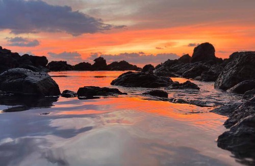 Troncones Bed & Breakfast | 20 m² Bed and breakfast ∙ 2 guests