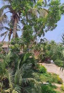 Mazunte Bed & Breakfast | 20 m² Bed and breakfast ∙ 2 guests