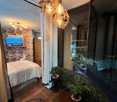 Orizaba Hotel | 20 m² Hotel ∙ 2 guests