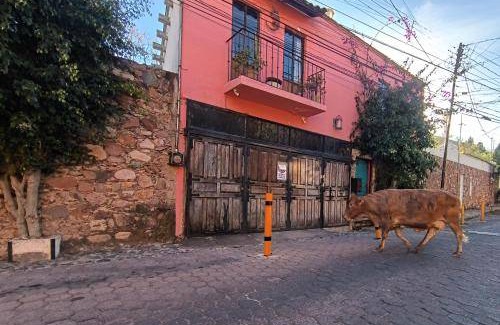 Guanajuato Apartment | 45 m² Serviced apartment ∙ 7 guests
