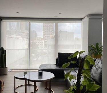 Colonia Cuauhtemoc Apartment | 60 m² Apartment ∙ 1 bedroom ∙ 2 guests