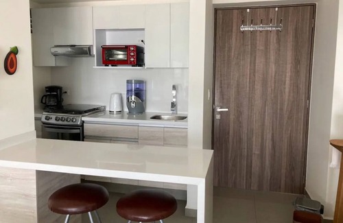 Coyoacan Apartment | Apartment in San Angel/Insurgentes Sur