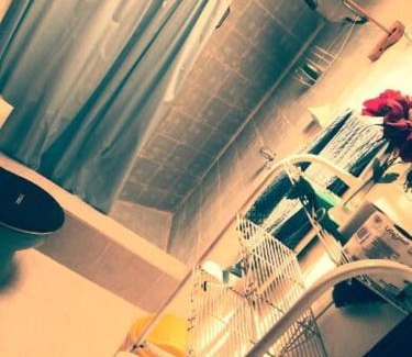 San Miguel de Allende Apartment | ARTE-MAZCAL