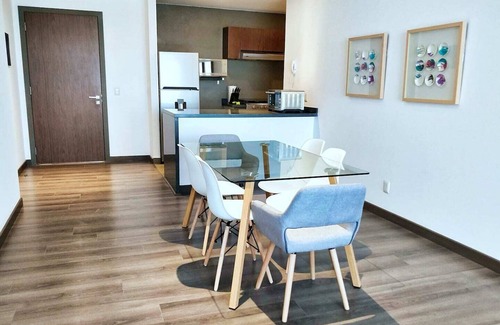 Anahuac Apartment | Beautifully furnished in a chic minimalist style 1 BR high speed internet