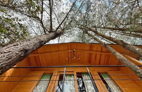 San Jose del Pacifico Apartment | Cabaña Dalia at Casa Elba