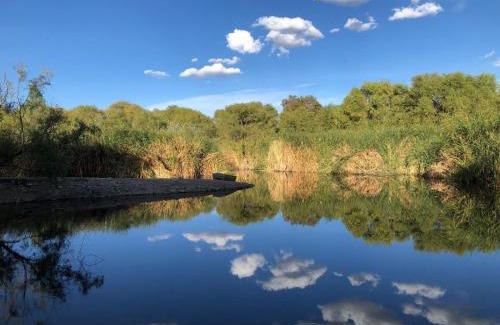 Pabellon de Arteaga Other | Cabaña Hacienda Ridvan