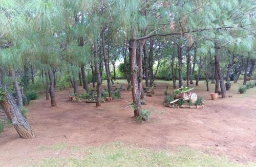 Atemajac de Brizuela Apartment | Cabañas Walddorf - Alcatraz