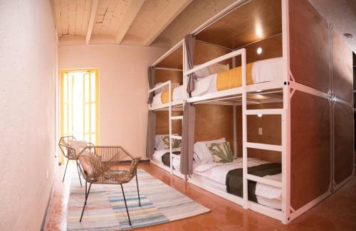 De La Presa House | Cactus Hostel & Suites