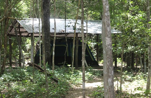 Calakmul Other | Camping ∙ 8 guests