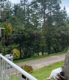 Mineral del Chico Other | Casa Amaya