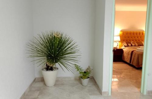 Jimenez House | Casa Esmeralda