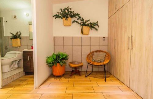 Calzada Madero Hostel | Casa Mayahuel