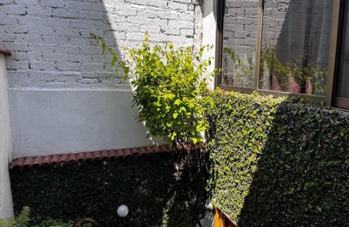 Vasco de Quiroga House | Casa Solange