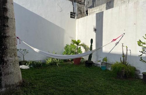 San Miguel House | Casa Toadfish