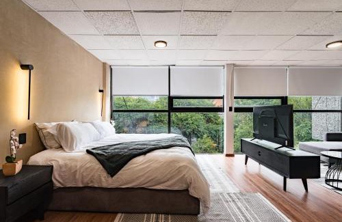 Roma Norte Apartment | Cibeles apartments by VH