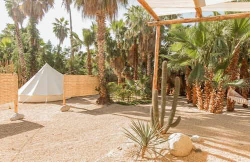 Todos Santos Other | Cien Palmas Tent 1