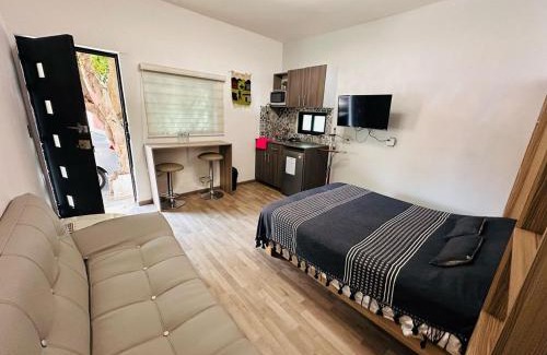 Oaxaca Apartment | Confort loft en el corazón de Oaxaca