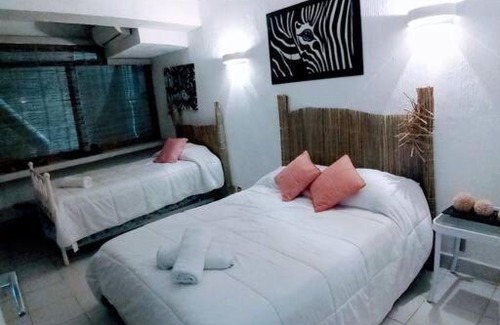 La Condesa Apartment | departamento de piedra