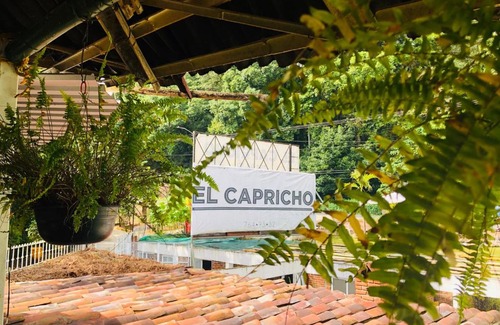 Xicotepec Hotel | El Capricho by Rotamundos