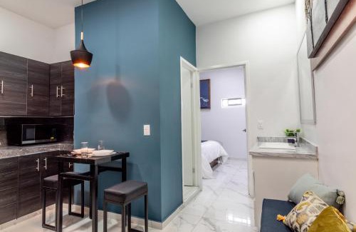 Zapotlanejo Apartment | Elegante Suite en el Centro de Zapotlanejo 204