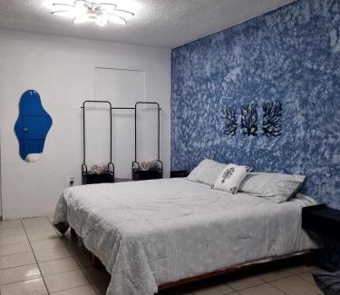 Oaxaca Apartment | Estudio privado en el Centro de Oaxaca