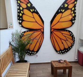 Morelia House | Habitaciones Mimado morelia