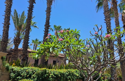 Cabo Bello House | Hacienda las Ballenas-four bedrooms