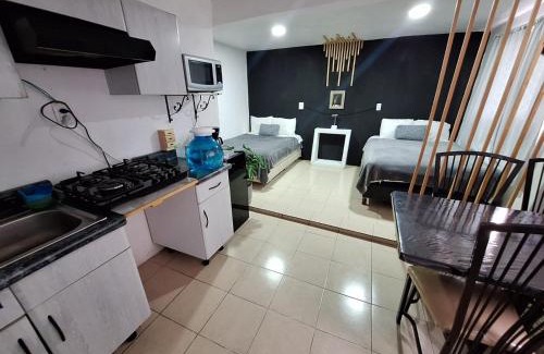 Venustiano Carranza Apartment | Hermoso Loft a 15min AICM