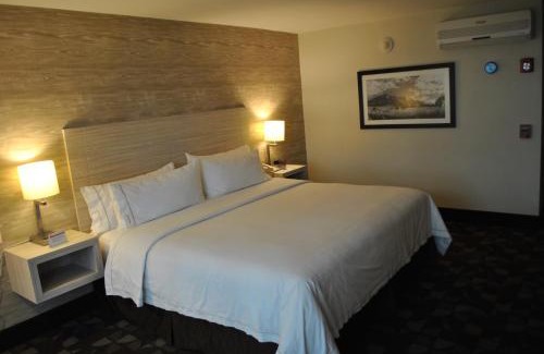 Toluca Hotel | Holiday Inn Express Toluca by IHG