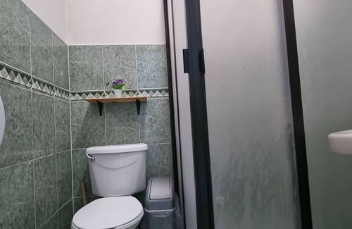 Colonia Roma Hostel | HoM Monterrey - Hostel