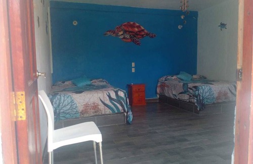 Sontecomapan Hostel | hostal
