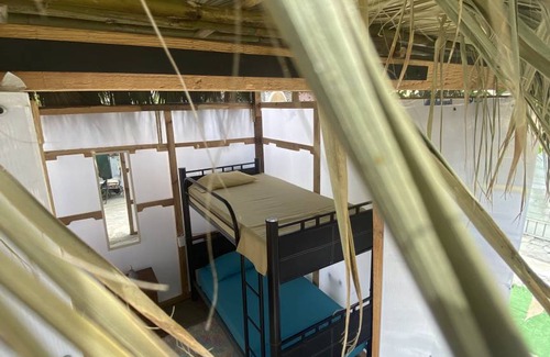 Downtown San Jose del Cabo Hostel | Hostel ∙ 8 guests