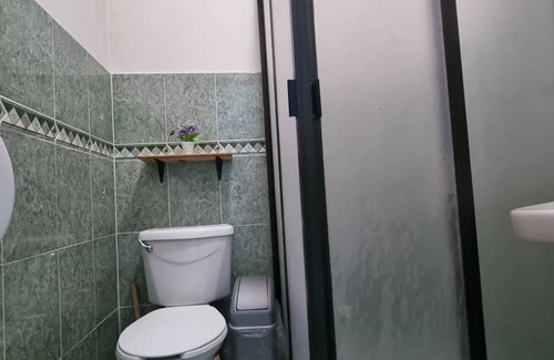 Colonia Roma Hostel | Hostel ∙ 8 guests