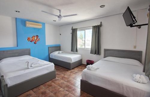 Rio Lagartos Hotel | Hotel Tabasco Rio