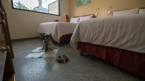 Villahermosa Hotel | Hotel Urban Express