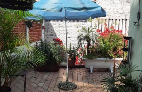 Benito Juarez Apartment | La CaSa De Las CaRpAs